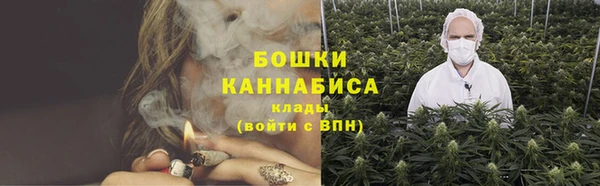 альфа пвп Заволжск