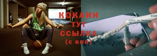 сатива Заволжье