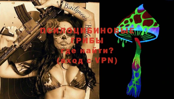 сатива Заволжье