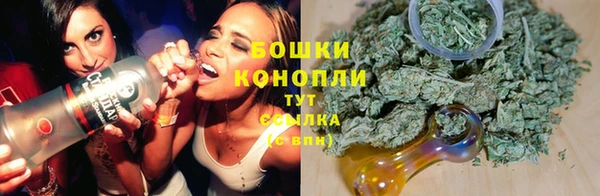 альфа пвп Заволжск