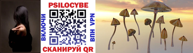 Купить закладки  Слюдянка  Галлюциногенные грибы Cubensis 